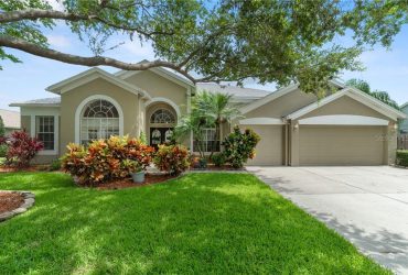 4749 Stoneview Cir, Oldsmar, FL 34677