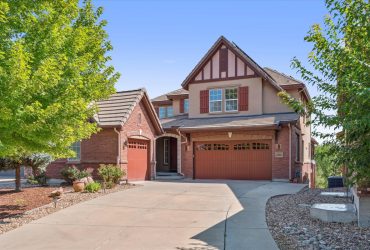 Great Opportunity in Backcountry! Spacious Two Story Home with finished Walkout Basement on Open Space and Culdesac!