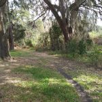 List Agent: Elizabeth Sanders List Agent ID: 254569372 List Agent Direct: 352-424-0309 E-mail: liz@roatan.com