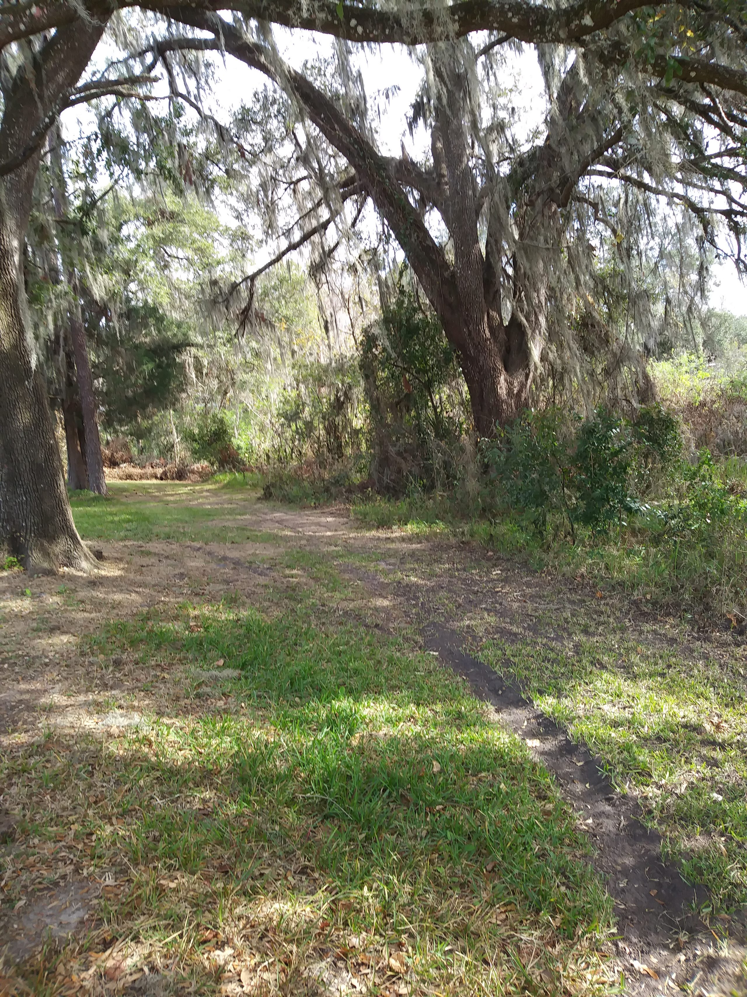 JESSE JONES, SAN ANTONIO, FL