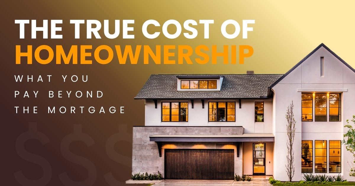 Feb 2026 Blog Image-rog