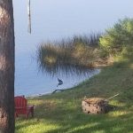 Panama City Beach Waterfront Condo For Sale