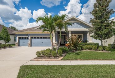 8421 Eagle Brook Dr, Land O Lakes, FL 34638