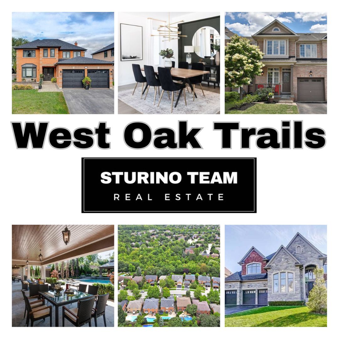 West Oak Trails Homes & Schools Sturino Team
