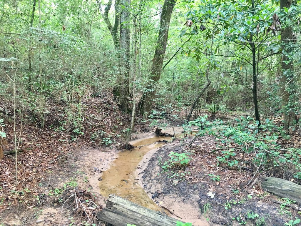 Lot in Emerald Lakes