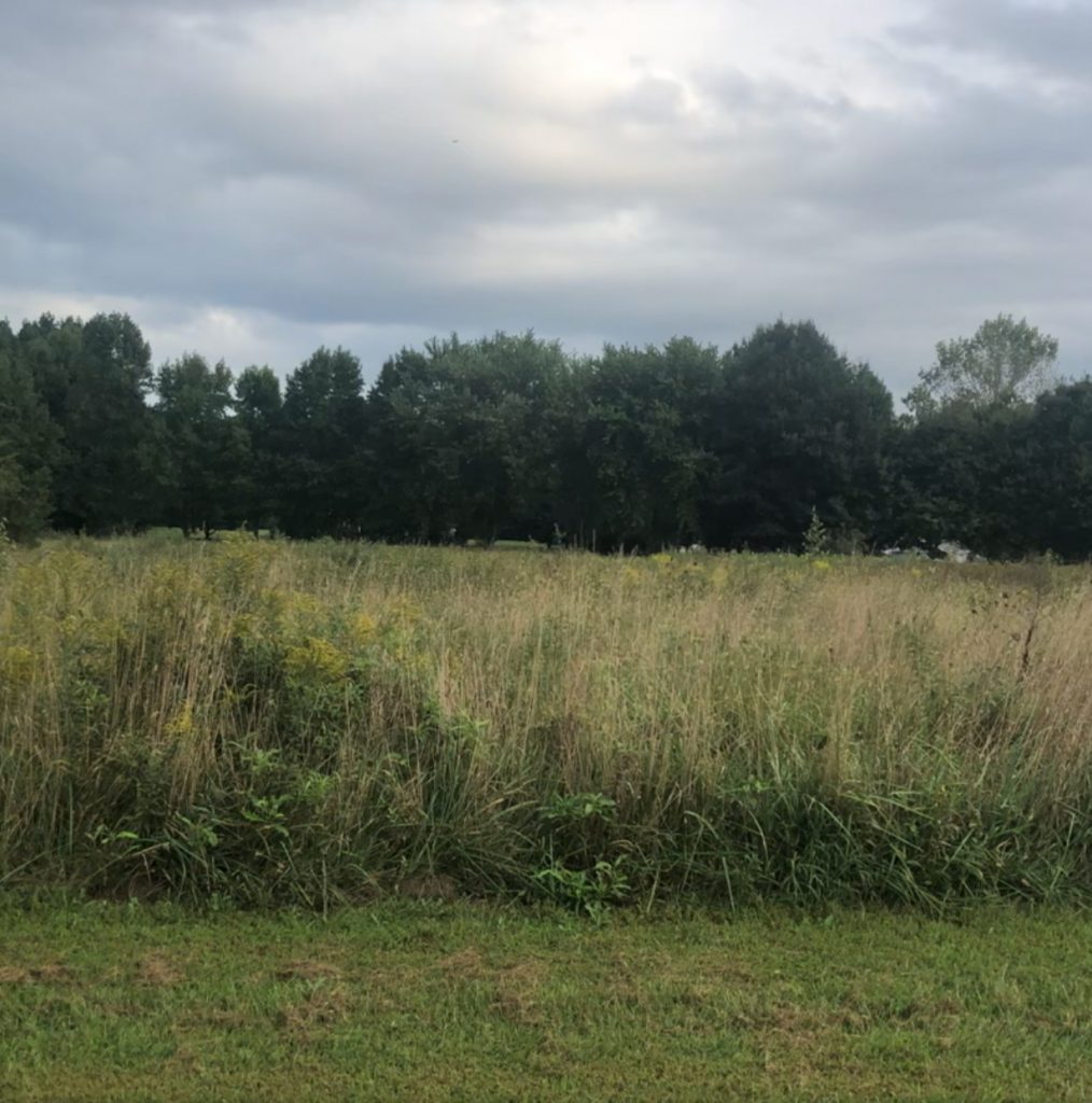 Lot 22, Fox Meadow Lane