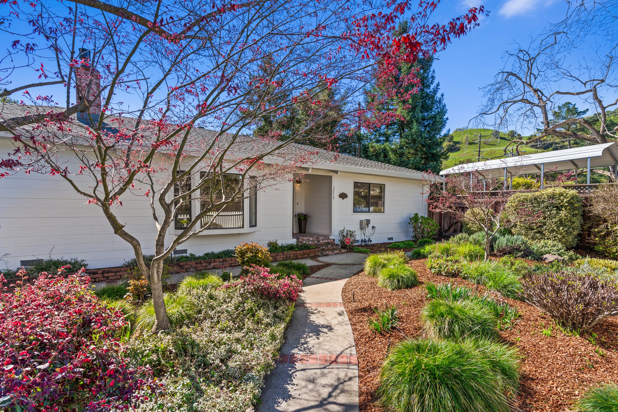 2-web-or-mls-DSC03443