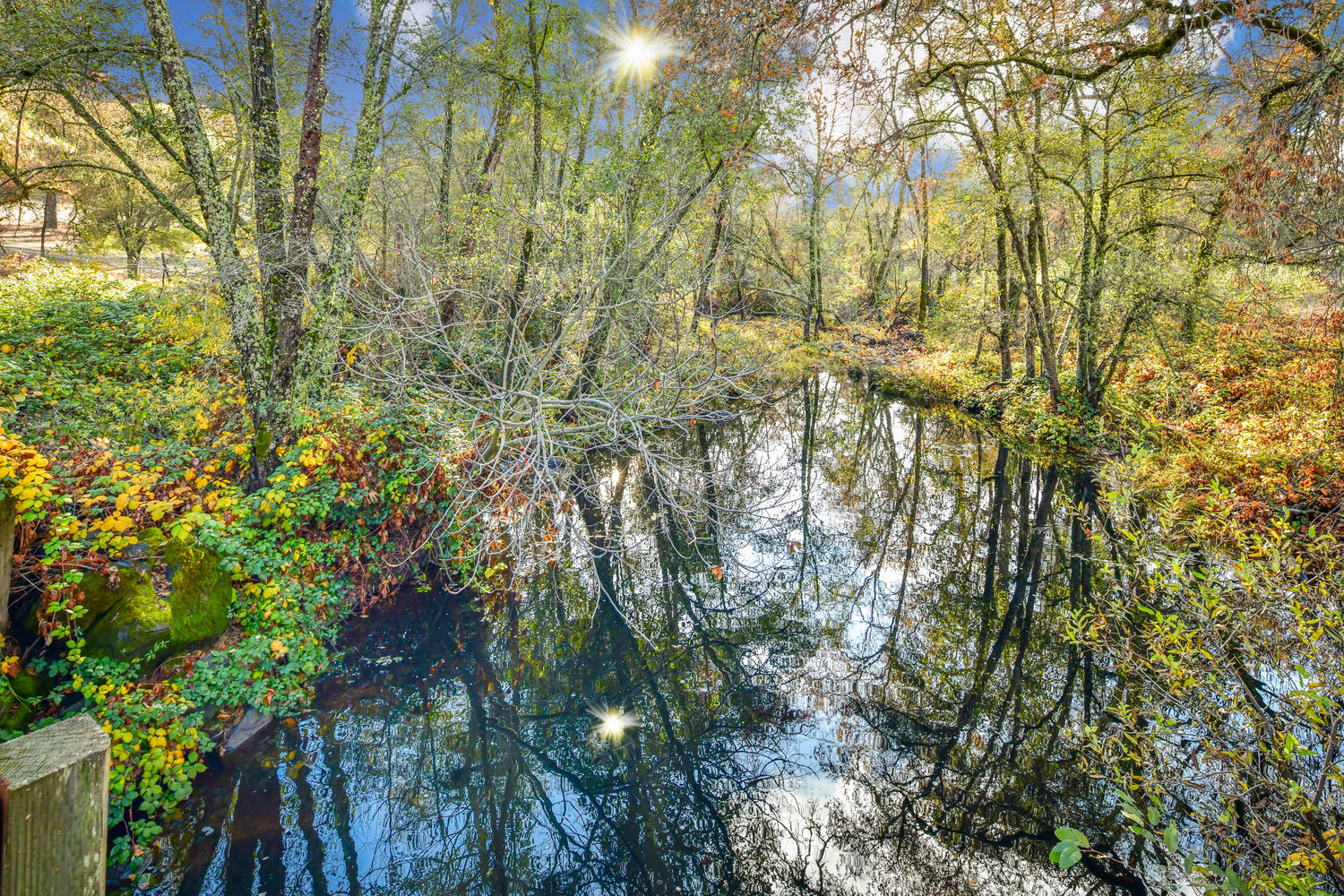 15576 Oak Meadow Rd. Penn Valley, CA 95946