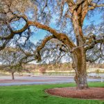 Ranch Home at 12912 Garden Bar Rd Grass Valley CA 95949