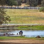 Pond at 12912 Garden Bar Rd Grass Valley CA 95949