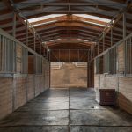 Equestrian Horse Property and Home For Sale on 5 Acres