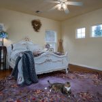 Equestrian Horse Property and Home For Sale on 5 Acres