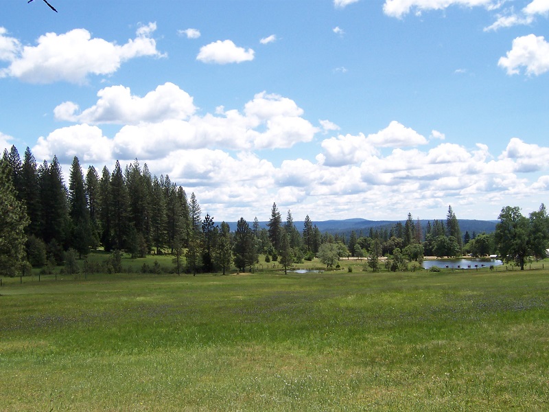 20 Acre Getaway with Home for Horses