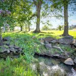 12985 Spenceville Rd Penn Valley CA