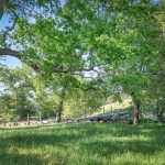 12985 Spenceville Rd Penn Valley CA