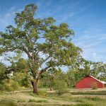 12985 Spenceville Rd Penn Valley CA