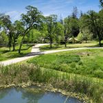 Resort Family Estate on 5+ Acres with Equestrian Trails