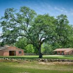 Gorgeous 20+ Acre Equestrian Family Estate Horse Property For Sale