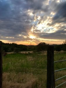 IMG_9240001