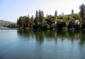 lakewildwood-lake