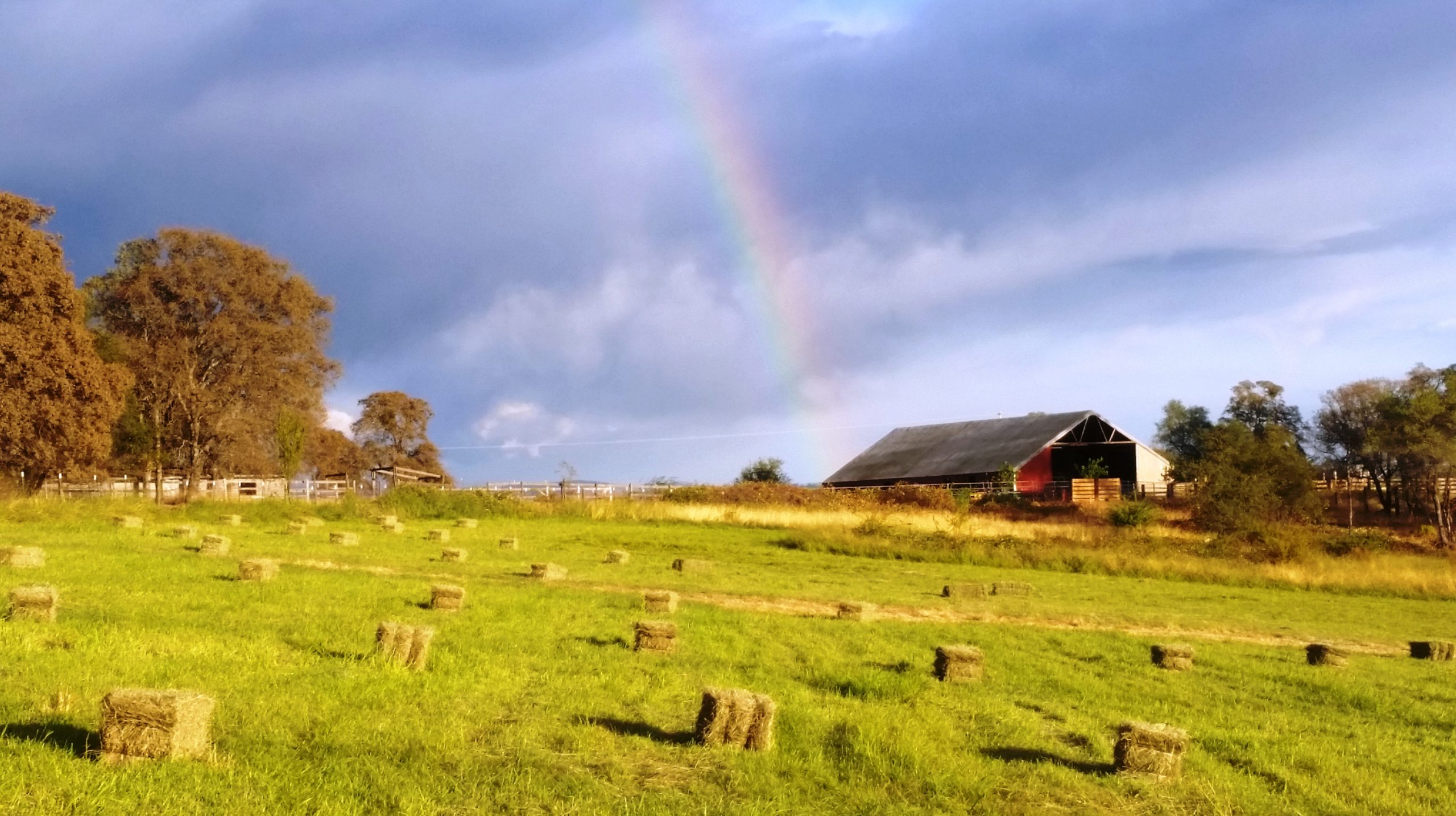 Grass in Grass Valley-Ranch Property Ranching in Grass Valley