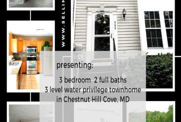 895 Chestnut Cove Drive, Chestnut Hill Cove, MD