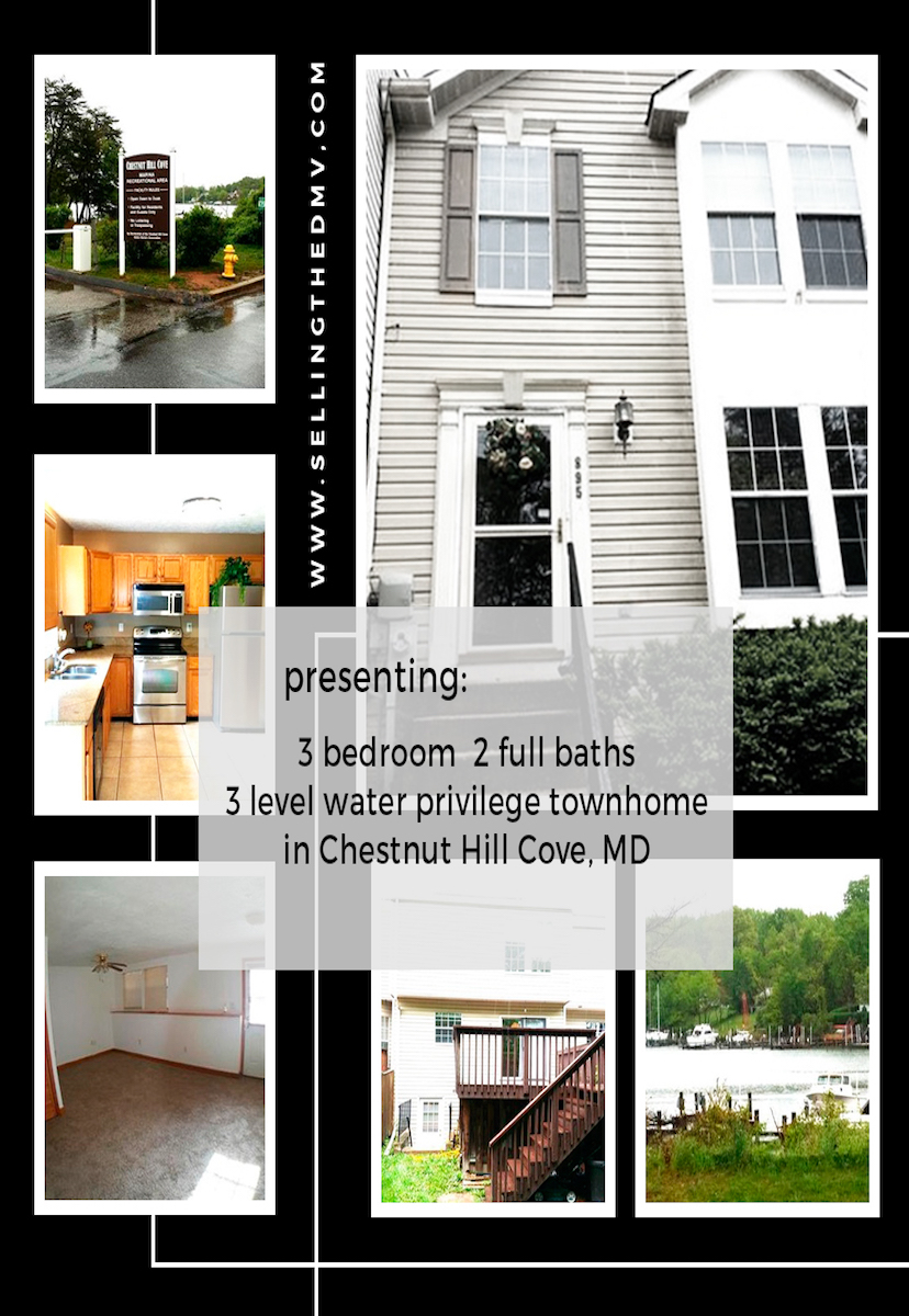 Chestnut Hill Cove townhome with water privileges