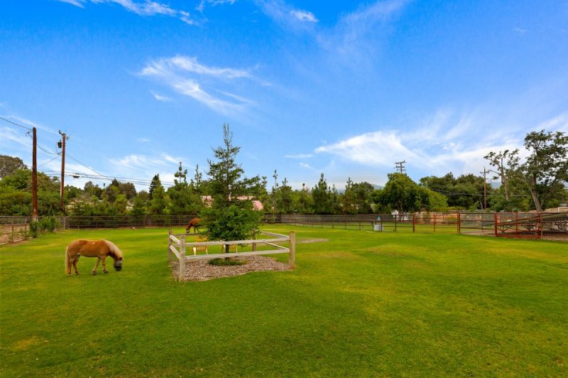 Horse Pasture