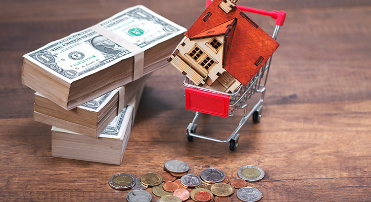 selling home and shopping,money