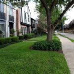 14345-Still-Meadow-Drive-Houston-TX-77079-Front-yard