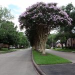 14345-Still-Meadow-Drive-Houston-TX-77079-Street-View