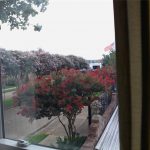 14345-Still-Meadow-Drive-Houston-TX-77079-Upstairs-bedroom-view-2