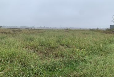 44 Acres Avalon, Tx, Ellis County