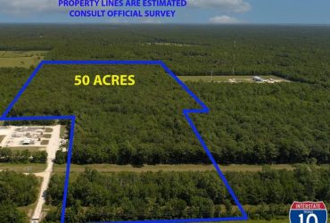 NOW AVAILABLE!!!  50 Acres, Wallisville