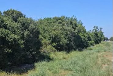 COMING SOON!!! 542-558, 10th Street, San Leon