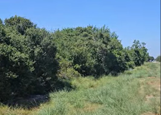 COMING SOON!!! 542-558, 10th Street, San Leon Screenshot 2026-01-08 124342