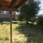 3068 Jacinto Probate