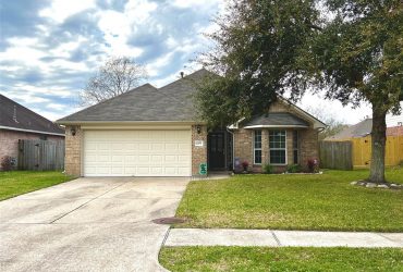 1009 Brazos Court League City, TX 77573