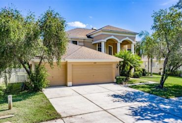 POOL HOME  in Golf Community – New Tampa, FL