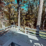8254 Amber Springs Cove Cordova TN 38018 - Deck 2