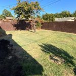 1018laurelaveolivehurstca95961-backyardgreenery