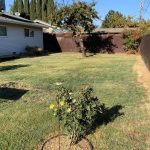 1018laurelaveolivehurstca95961-backyardspace