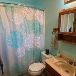 1018laurelaveolivehurstca95961-bathroom