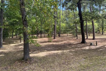 1.6 ac WATERVIEW – Coldspring TX – $220000