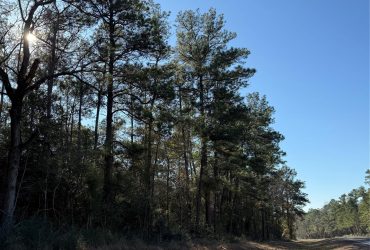 LAND FOR SALE – 35 UNRESTICTED ACRES – CORRIGAN TX